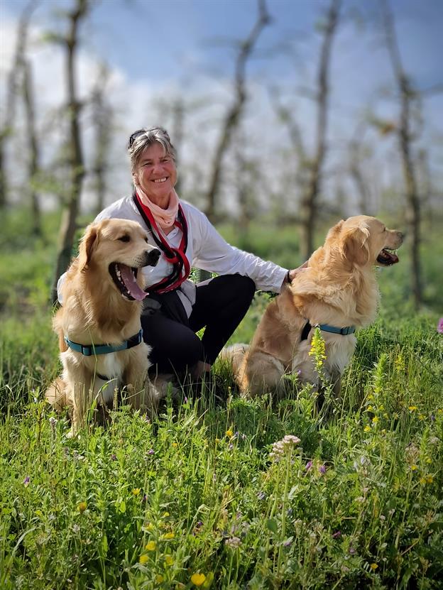 Was gibt es Schöneres, als mit zwei wohlerzogenen Golden Retrievern durch die Natur zu spazieren? Während sie fröhlich ihre Schnauzen in jeden Busch stecken und wir versuchen, sie davon zu überzeugen, dass nicht jeder Stock ein Schatz ist, genießen wir die frische Luft und die Ruhe. Und wer weiß, vielleicht finden sie ja wirklich den einen magischen Stock, der alle anderen übertrifft!
(04.2024)