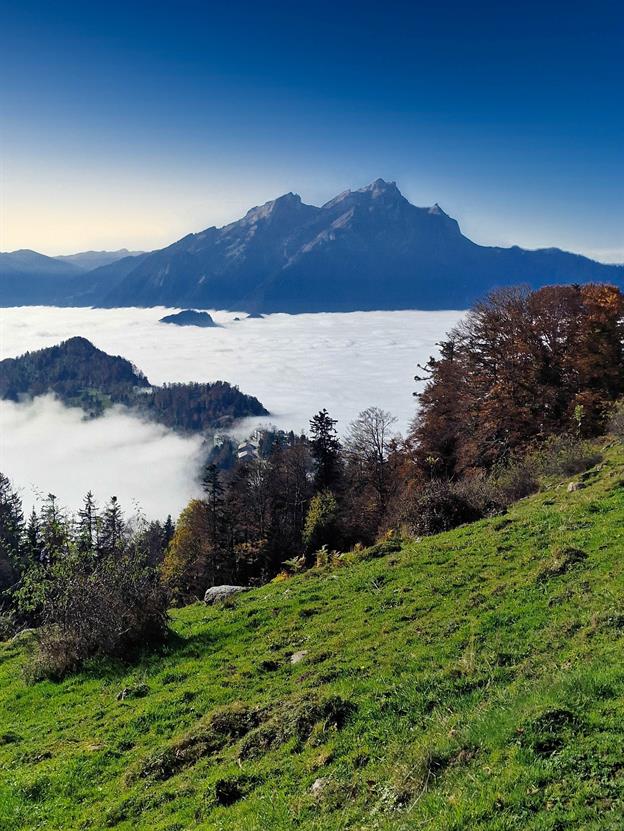 Ein mystisches Nebelmeer breitet sich über dem Vierwaldstättersee aus. In der wunderschönen Schweiz leben tatsächlich mehr Menschen unter als oberhalb der Nebelgrenze. Kein Wunder, schließlich gibt es oben nur frische Bergluft und atemberaubende Aussichten, während unten das Geld fließt und die Uhren ticken. Wer würde da nicht lieber im 'Nebel-Nest' wohnen wollen?
(10.2024)