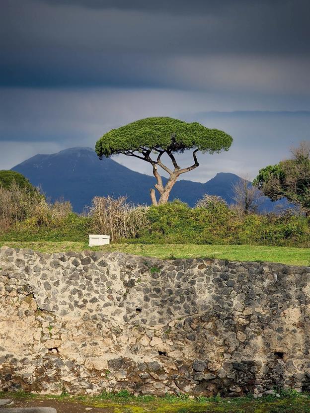 Pompeji war eine antike römische Stadt in der Nähe des heutigen Neapel in Italien. Sie ist berühmt dafür, dass sie im Jahr 79 n. Chr. durch den Ausbruch des Vulkans Vesuv zerstört und unter einer dicken Schicht aus Asche und Bimsstein begraben wurde.
(01.2025)